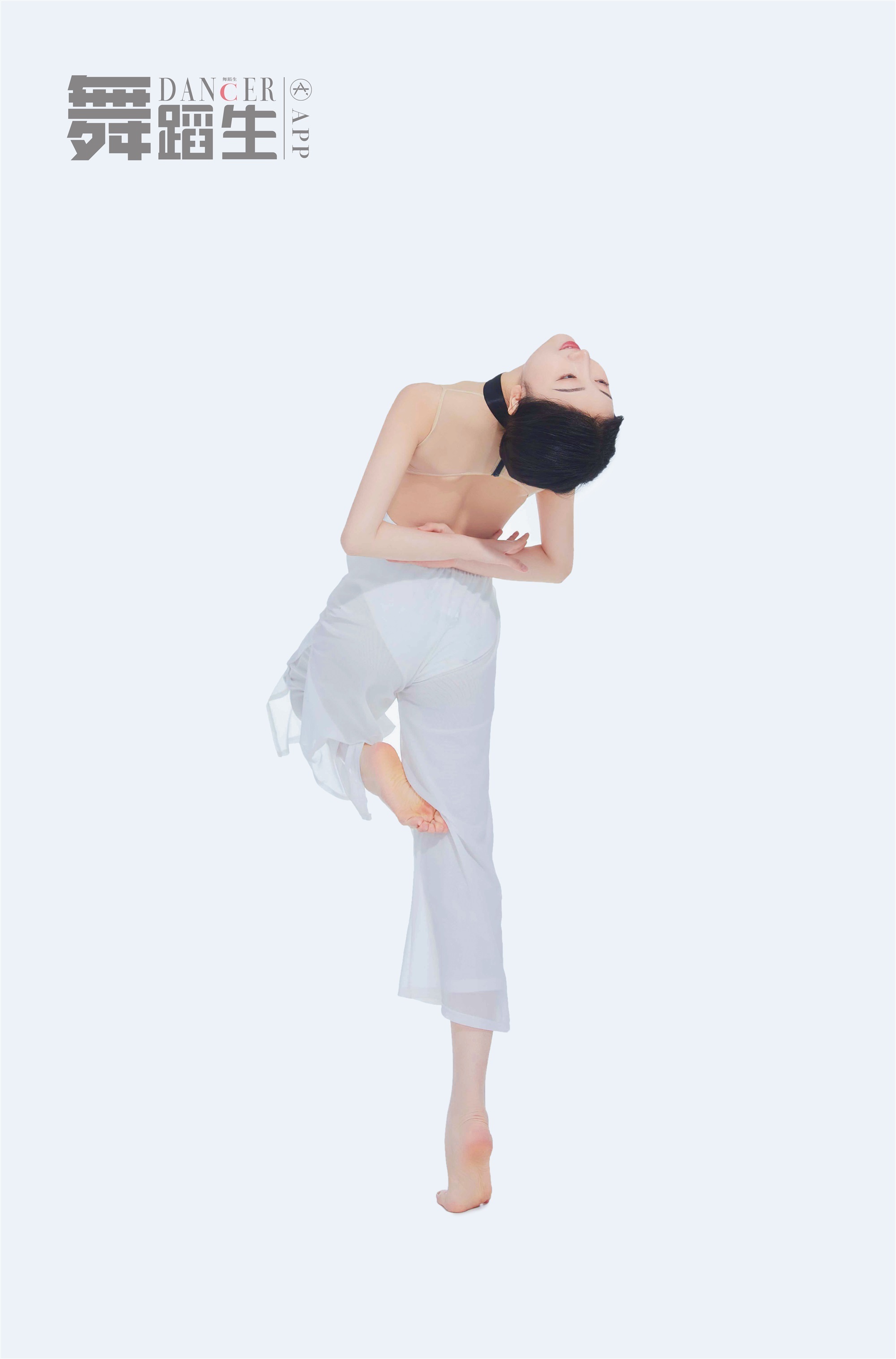 GALLI嘉丽 舞蹈生日记 083 - 风舞如蝶 薛慧